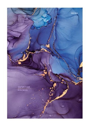 ЗАПИСНАЯ КНИГА А4 160л. СИНИЙ И ФИОЛЕТОВЫЙ МРАМОР, Б160-0861