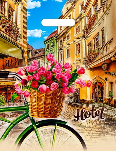 Пакет ПЭ с вырубной ручкой 31х40см (60) (Отель) ламинированный, ВУР13826