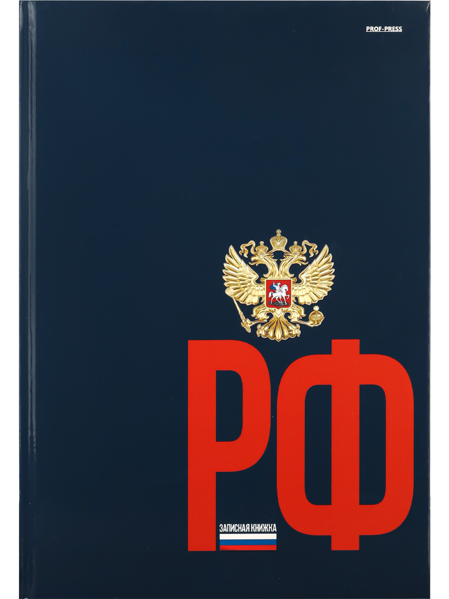 ЗАПИСНАЯ КНИГА А4 120л. ВЫСОТКИ ГЕРБ РОССИИ НА ТЕМНОМ ФОНЕ, Б120-0860