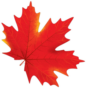 Плакат вырубной А4 , Клен красный , двухсторонний, ФМ-015366