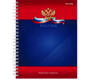 Записная книга на гребне "Символика России", А5 , 120 листов, 120-6795