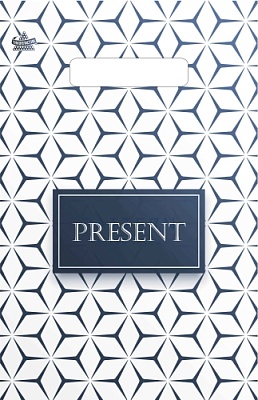 Пакет ПЭ с вырубной неусиленной ручкой 20х30см (30) (Презент стиль), ВНР61498