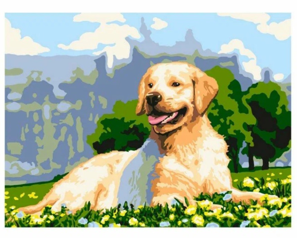 Картина по номерам холст на подрамнике 30х40 см , 'Золотистый ретривер', Рх-037